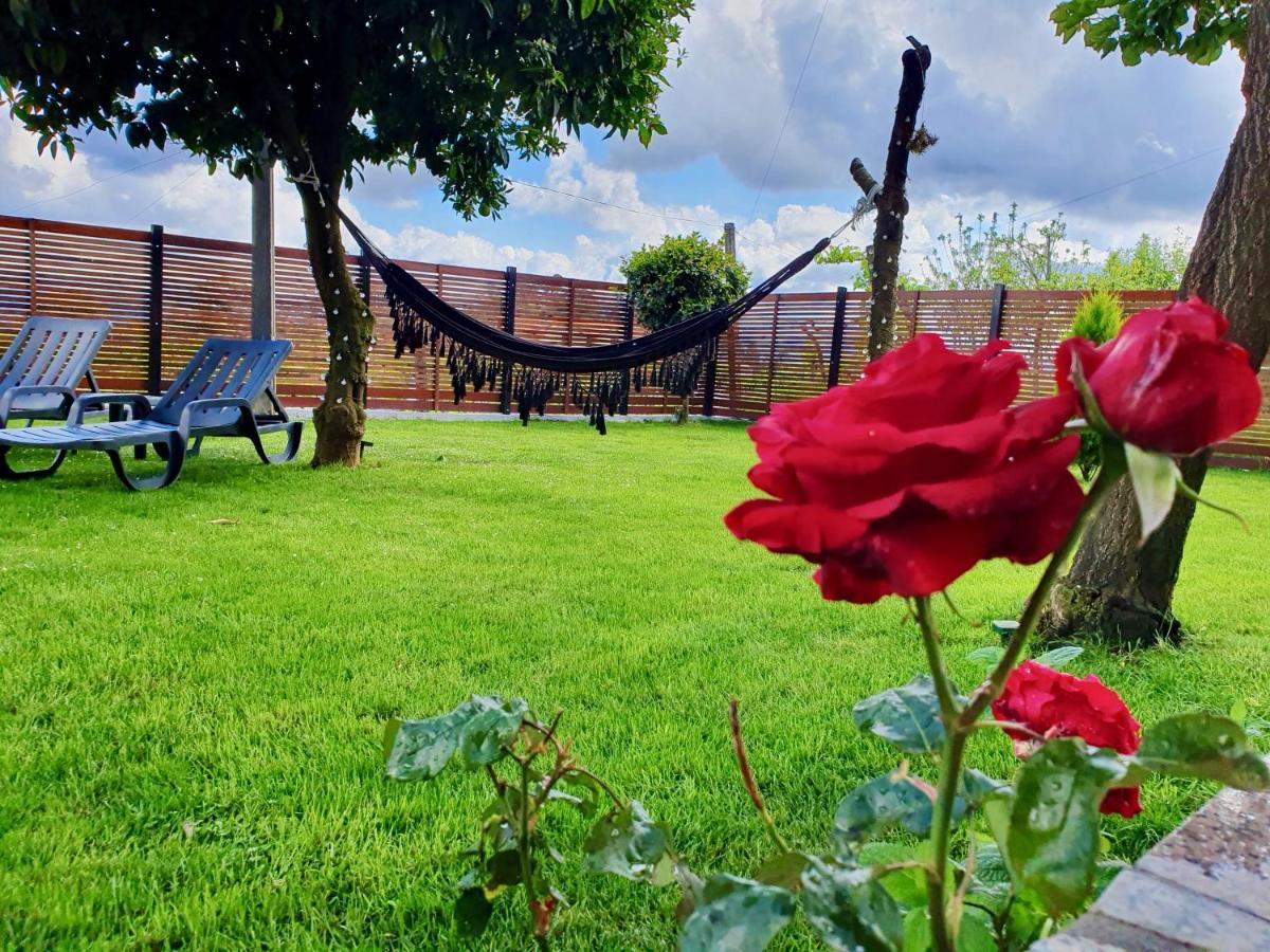 Rosinha Country House Vale de Cambra Exterior photo